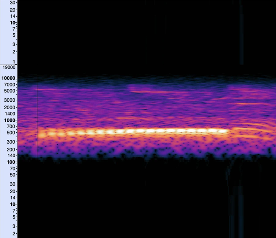 Spectrogram of a turtle dove call.