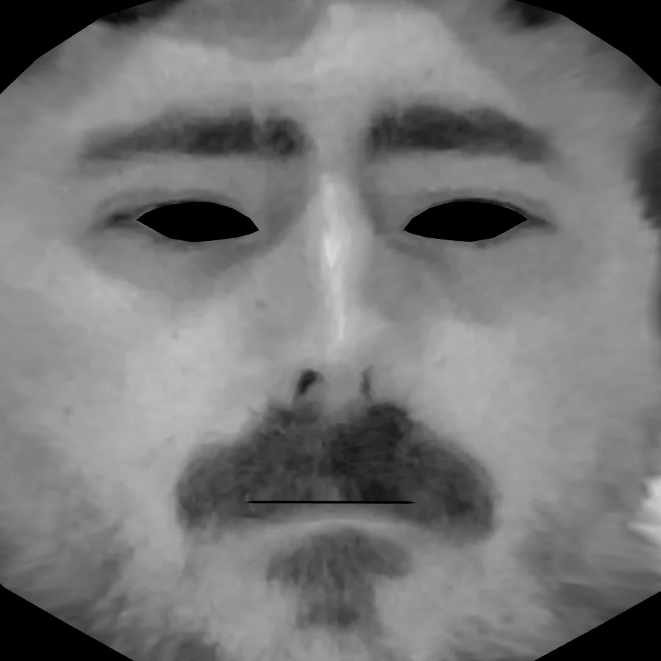 Zoomed in grayscale screenshot of UV unwrapped face texture.